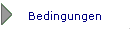 Bedingungen