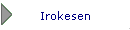 Irokesen