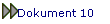 Dokument 10