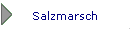 Salzmarsch
