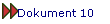 Dokument 10