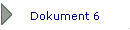 Dokument 6