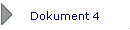 Dokument 4