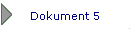 Dokument 5