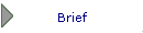 Brief