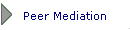 Peer Mediation